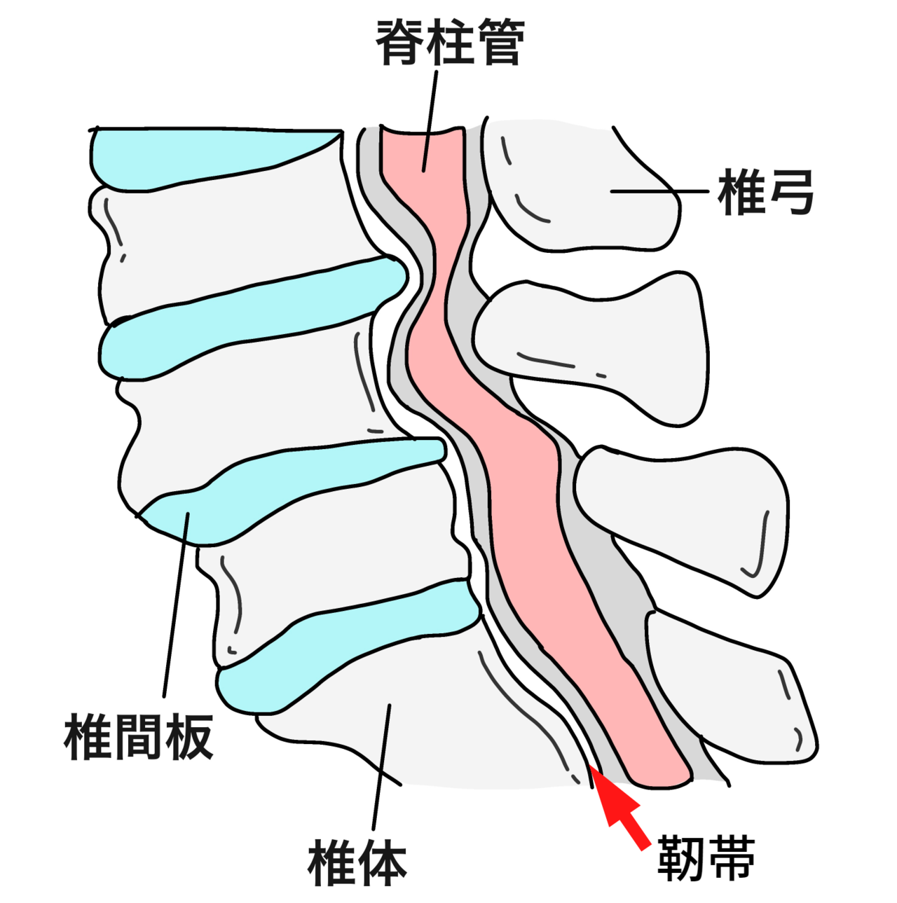 一宮市　整体腰痛　ぎっくり腰