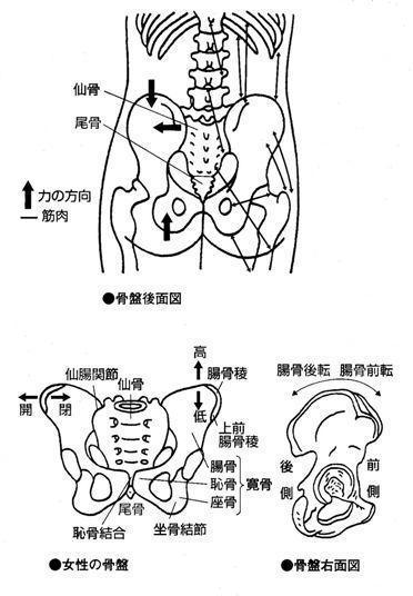 体験者の声　筋肉のつっぱり　交通事故